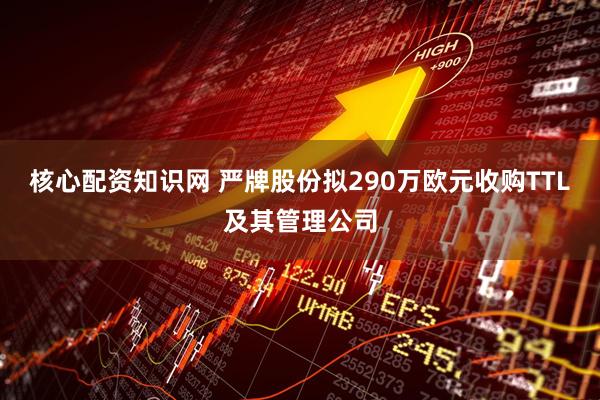 核心配资知识网 严牌股份拟290万欧元收购TTL及其管理公司