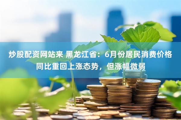 炒股配资网站来 黑龙江省：6月份居民消费价格同比重回上涨态势，但涨幅微弱