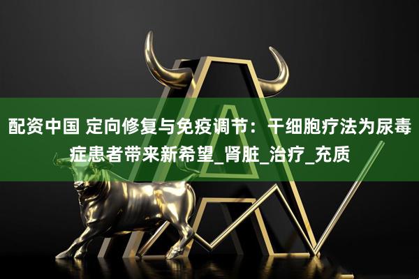 配资中国 定向修复与免疫调节：干细胞疗法为尿毒症患者带来新希望_肾脏_治疗_充质