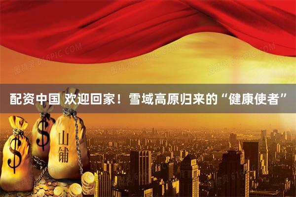 配资中国 欢迎回家！雪域高原归来的“健康使者”