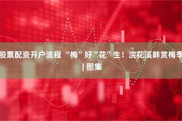 股票配资开户流程 “梅”好“花”生！浣花溪畔赏梅季 | 图集