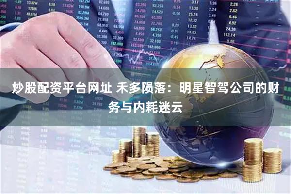 炒股配资平台网址 禾多陨落：明星智驾公司的财务与内耗迷云